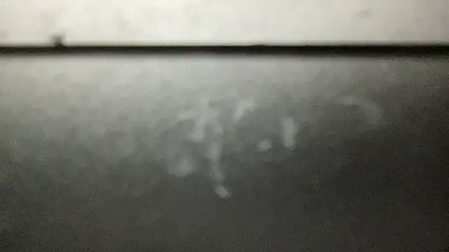 Snapshot of Fr4nk1eFFuxxx chatting on September 21, 2025, 7:02 am Fr4nk1eFFuxxx online show from September 21, 2025, 7:02 am