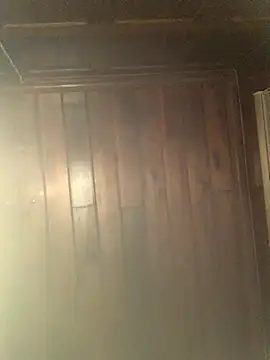 Mesonic Empire online show from December 22, 2025, 5:07 am