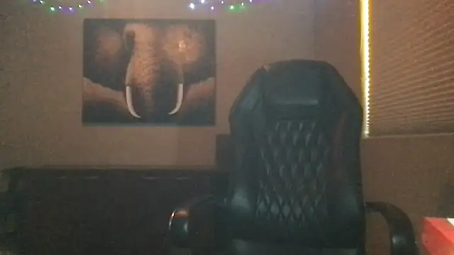 Bwcjoshbanks online show from March 28, 2026, 9:38 pm