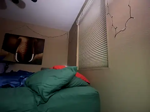 Bwcjoshbanks online show from November 28, 2025, 6:24 am