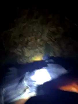 Germanboyy91 online show from December 22, 2025, 1:50 am