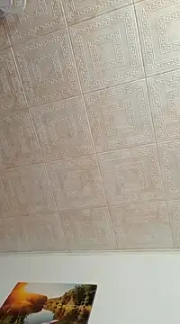 Snapshot of hornny1995 chatting on January 11, 2025, 10:51 am hornny1995 online show from January 11, 2025, 10:51 am