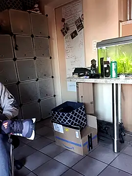 Hippiep online show from March 2, 2025, 1:42 pm