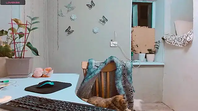 Snapshot of RosaJil chatting on January 15, 2025, 7:44 pm RosaJil online show from January 15, 2025, 7:44 pm