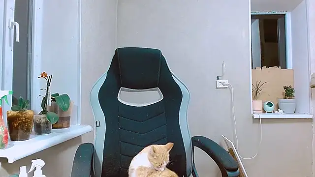 Snapshot of RosaJil chatting on September 13, 2025, 5:35 pm RosaJil online show from September 13, 2025, 5:35 pm