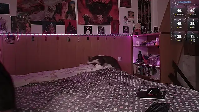 Hanako Jentoru online show from February 7, 2026, 2:47 pm