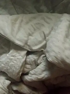 Arthurosito online show from February 14, 2026, 9:31 am