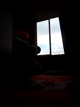 Cameron puppy online show from November 15, 2025, 8:35 pm