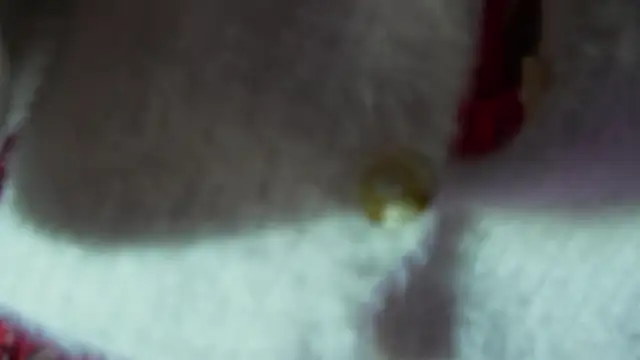 BOOLOCHKAA online show from December 30, 2024, 2:51 pm