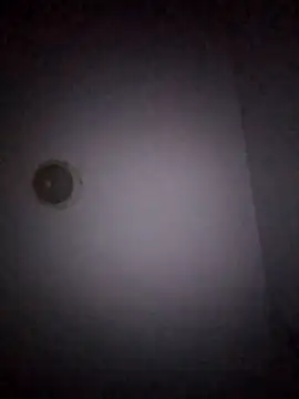 Snapshot of Treemandude chatting on January 15, 2026, 11:02 am Treemandude online show from January 15, 2026, 11:02 am