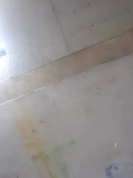 Manolete007x online show from February 11, 2026, 11:26 pm