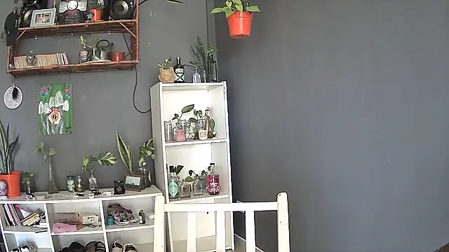 stupid babybird online show from March 5, 2025, 8:32 pm