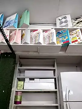 Snapshot of Mia_Novikov chatting on January 16, 2025, 11:06 pm Mia Novikov online show from January 16, 2025, 11:06 pm