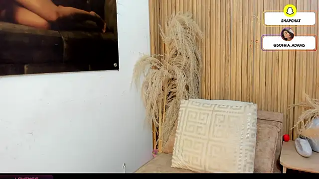 Snapshot of sofhiaa_adaams chatting on February 20, 2026, 10:44 pm sofhiaa adaams online show from February 20, 2026, 10:44 pm