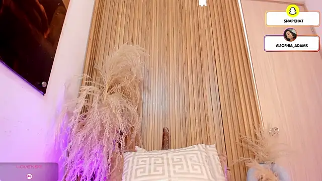 Snapshot of sofhiaa_adaams chatting on February 15, 2026, 5:12 pm sofhiaa adaams online show from February 15, 2026, 5:12 pm