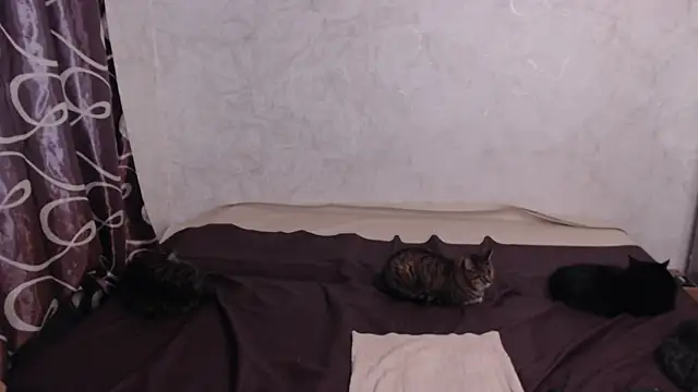 Olivia Winston online show from April 10, 2026, 2:40 am