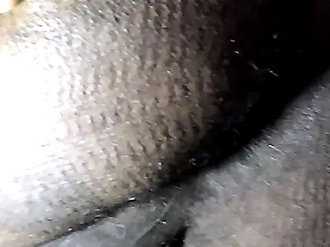 Snapshot of Goodman4usexy chatting on February 15, 2026, 12:15 pm Goodman4usexy online show from February 15, 2026, 12:15 pm