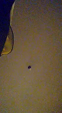 Snapshot of gala2 chatting on February 13, 2025, 8:06 am gala2 online show from February 13, 2025, 8:06 am