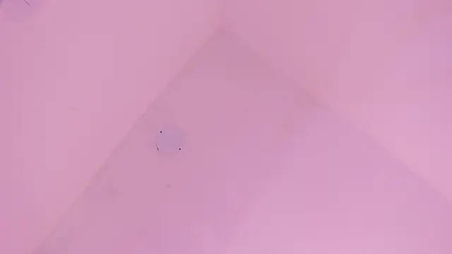 LoveQueen2 online show from January 10, 2026, 11:49 am