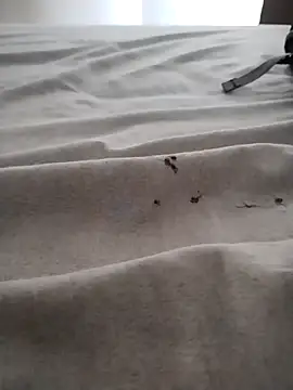 BarbudoSP35 online show from March 15, 2025, 1:18 pm