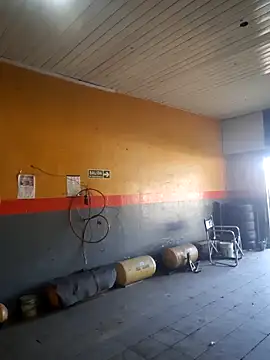 hecwil8 online show from February 13, 2026, 12:27 pm