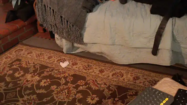 Dark Asteroid online show from March 9, 2026, 1:58 pm