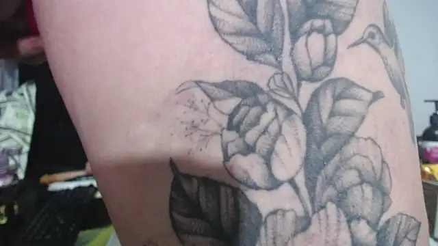 Snapshot of thalia_tits chatting on February 26, 2026, 11:27 pm thalia tits online show from February 26, 2026, 11:27 pm