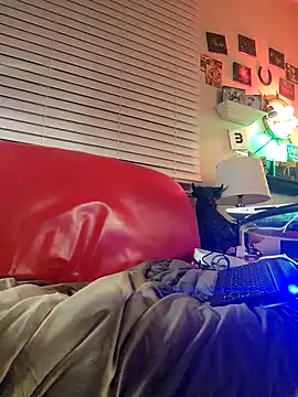 kochanekczek online show from February 19, 2026, 5:37 am