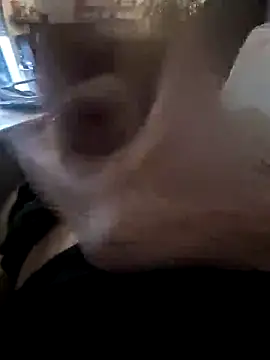 Snapshot of MarkBigDick35 chatting on January 17, 2026, 1:58 pm MarkBigDick35 online show from January 17, 2026, 1:58 pm