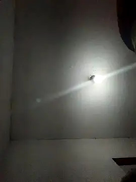 fieltoprj1 online show from January 19, 2025, 3:08 am