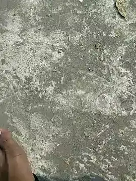 rana cute online show from February 5, 2025, 8:21 am