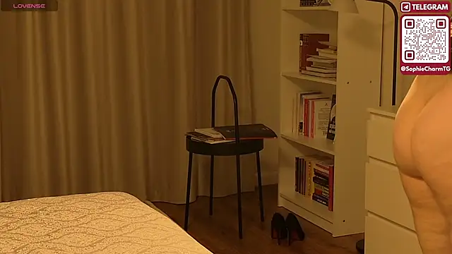 Snapshot of SophieCharm chatting on February 21, 2026, 4:14 am SophieCharm online show from February 21, 2026, 4:14 am