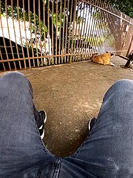 Snapshot of braza66 chatting on April 12, 2026, 5:05 pm braza66 online show from April 12, 2026, 5:05 pm