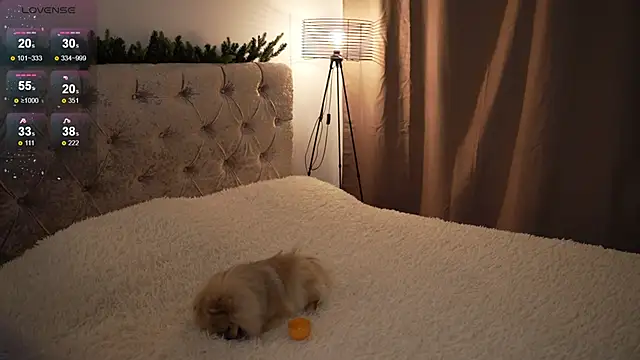 LindaWarners online show from February 9, 2025, 6:47 pm