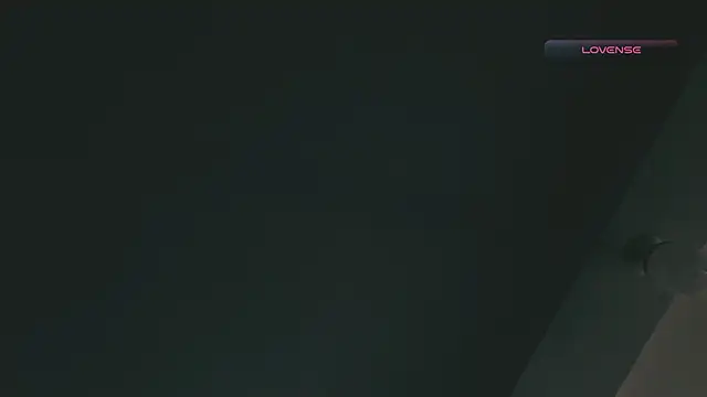 Snapshot of SilvaBranko chatting on February 17, 2026, 3:09 pm SilvaBranko online show from February 17, 2026, 3:09 pm