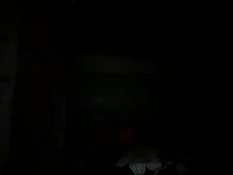 Mallayali 27 online show from January 14, 2025, 7:00 pm