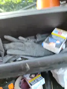 Snapshot of claudio20031 chatting on September 16, 2025, 5:41 am claudio20031 online show from September 16, 2025, 5:41 am