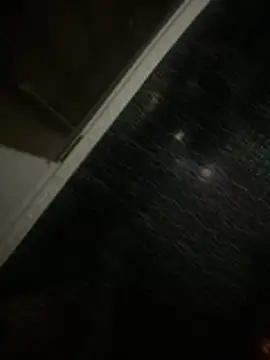 cheesecoc online show from February 8, 2026, 1:03 am