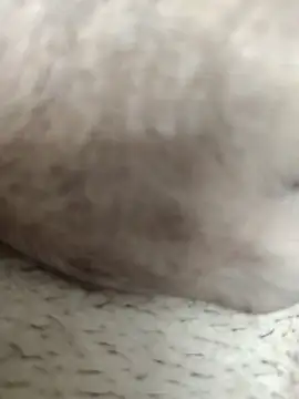 Jack31531 online show from October 7, 2025, 12:55 am