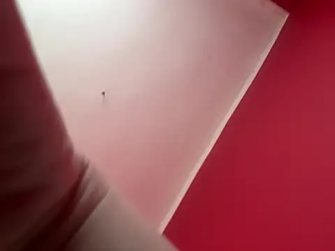 czruz online show from April 28, 2026, 4:50 am