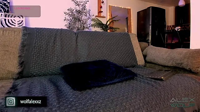 alex wolf  online show from February 8, 2025, 2:04 am