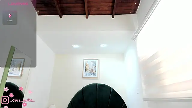 Snapshot of _AlejaCruz_ chatting on June 2, 2026, 7:36 pm AlejaCruz online show from June 2, 2026, 7:36 pm