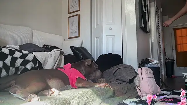 yummyrina online show from February 7, 2026, 7:33 pm