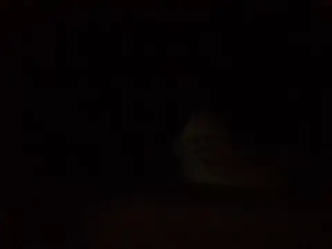 technodotado online show from July 30, 2026, 4:22 am
