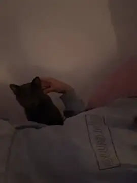 Snapshot of Ag4ta_ chatting on February 19, 2026, 11:12 pm Ag4ta online show from February 19, 2026, 11:12 pm