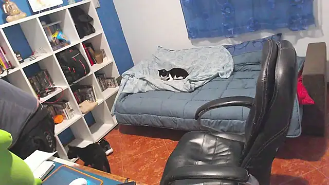 ravingr4d4 online show from February 19, 2026, 12:18 am