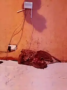 cute naimah online show from December 5, 2025, 6:17 pm