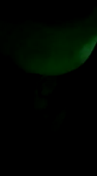 Snapshot of Amarista_Lovely6 chatting on December 8, 2024, 5:50 am Amarista Lovely6 online show from December 8, 2024, 5:50 am