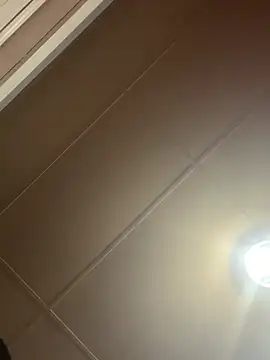 Papinine6 online show from April 7, 2026, 1:46 pm