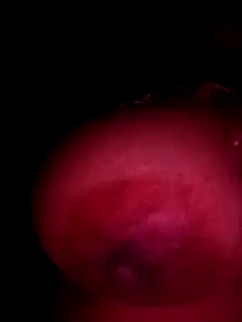 sakshisutra online show from December 14, 2025, 8:25 pm